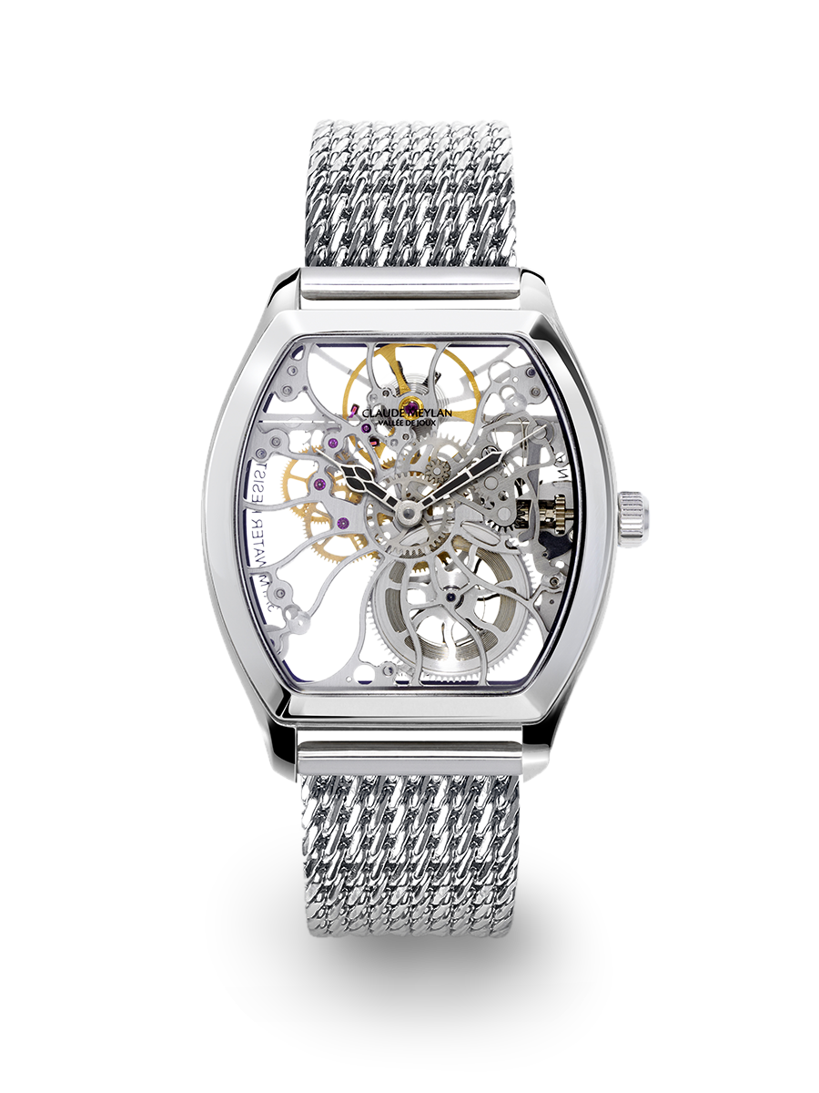 Tortue 6047-BM