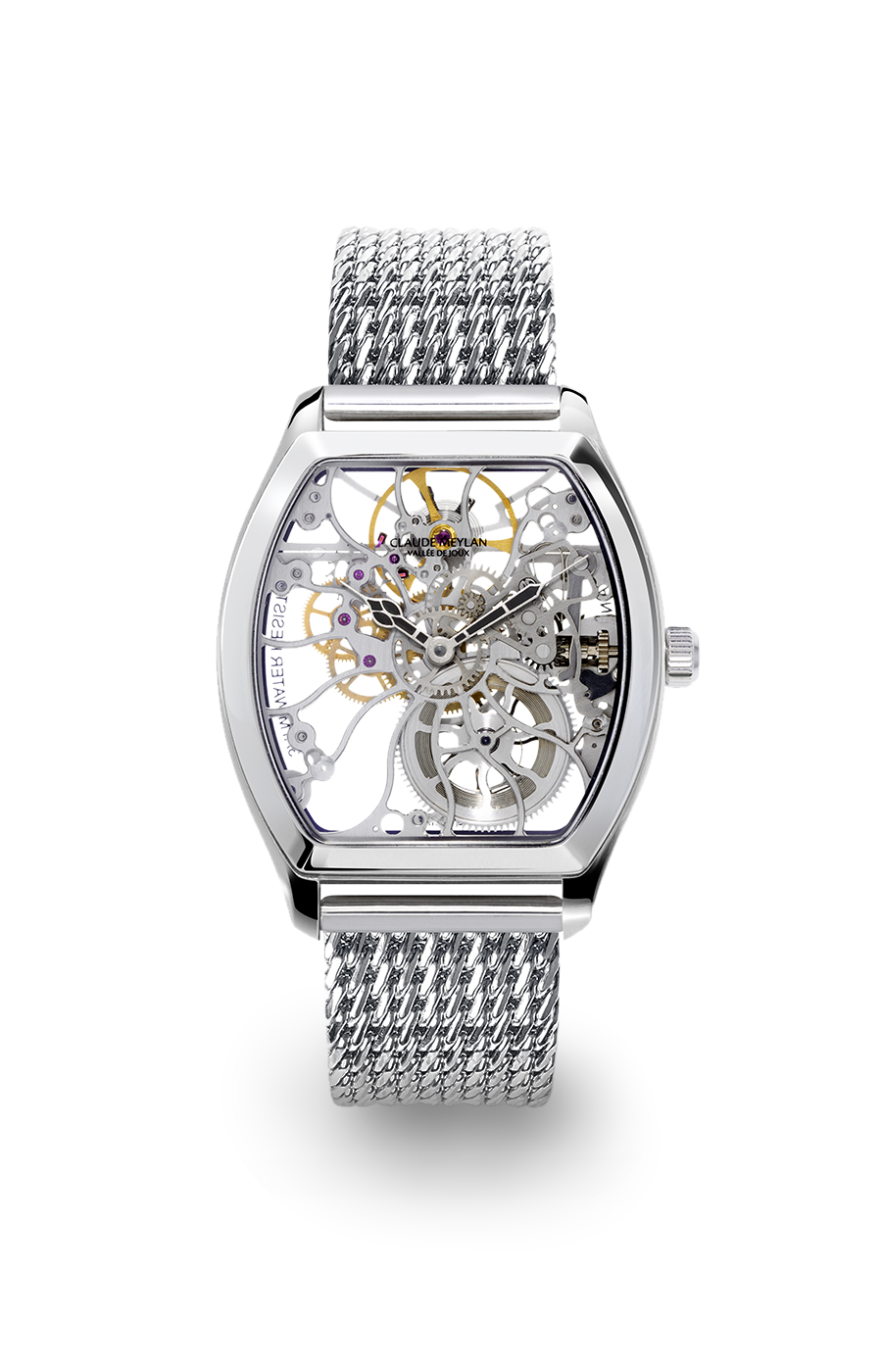 Tortue 6047-BM