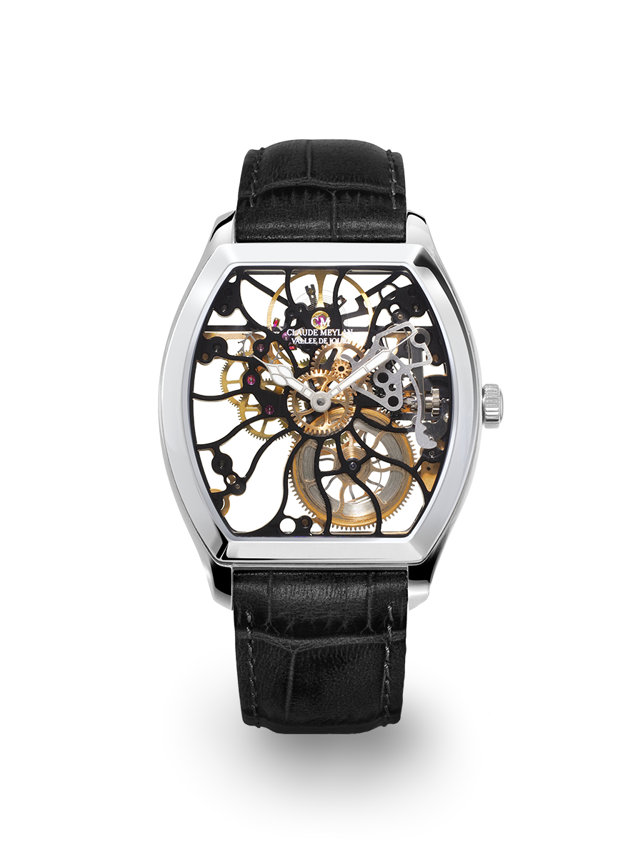 Tortue 6047 B