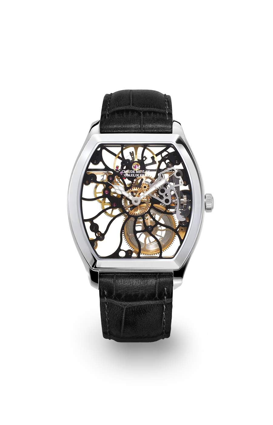 Tortue 6047 B
