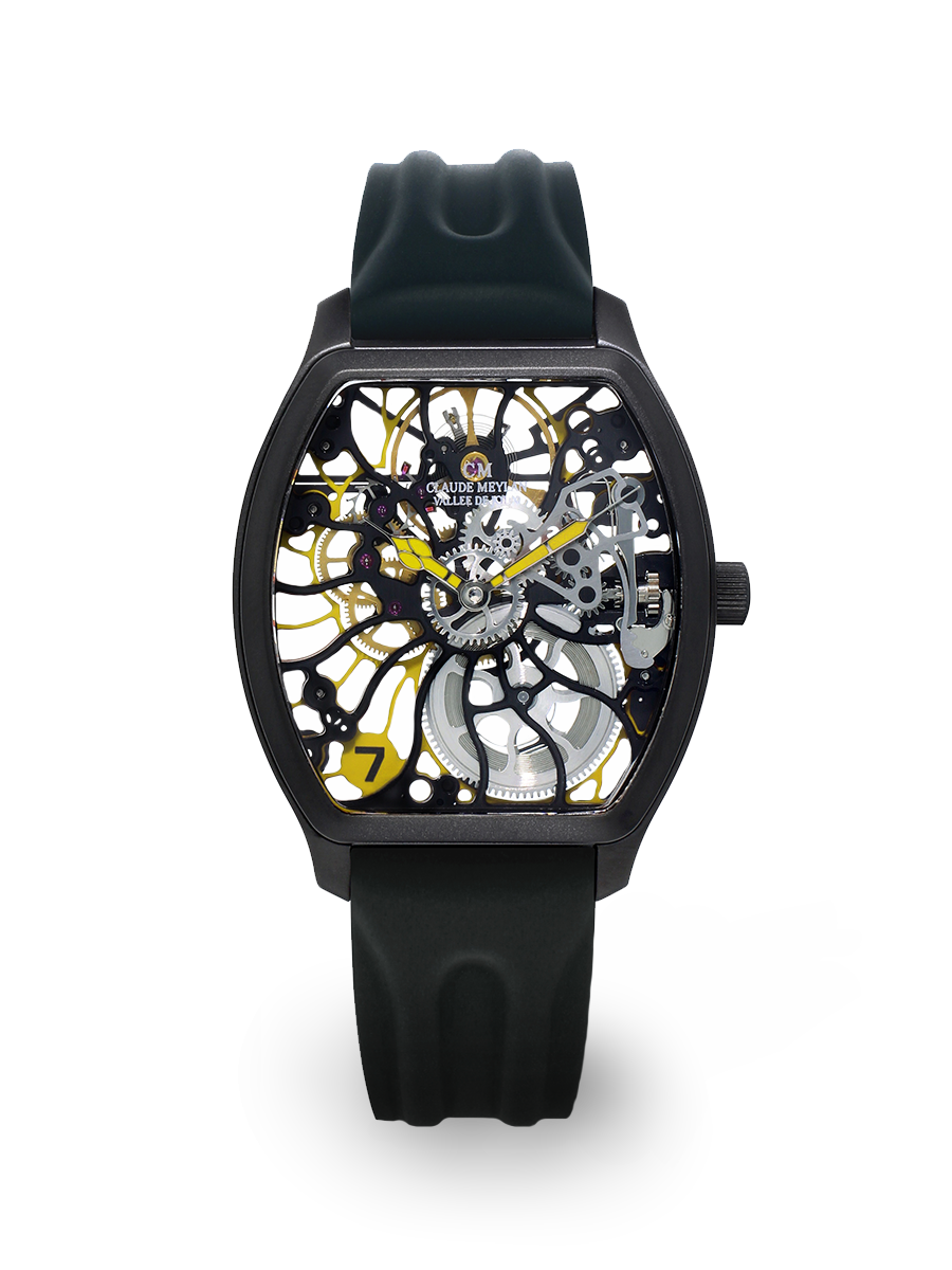 Tortue rainbow 6047-NJ