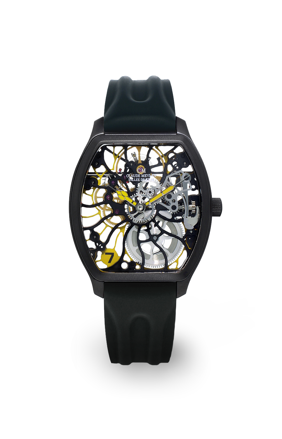Tortue rainbow 6047-NJ