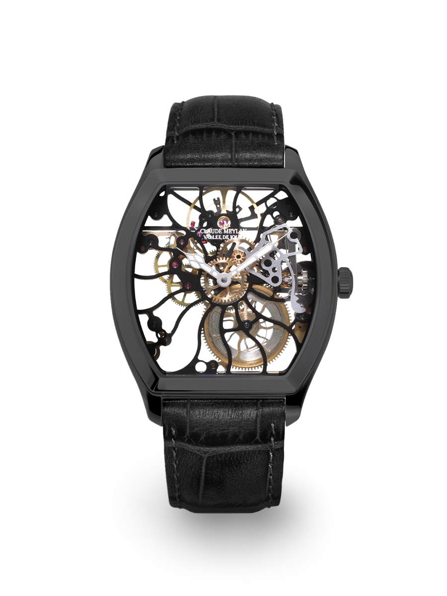 Tortue rainbow 6047-NN