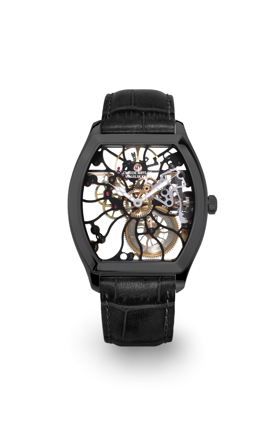 Tortue rainbow 6047-NN