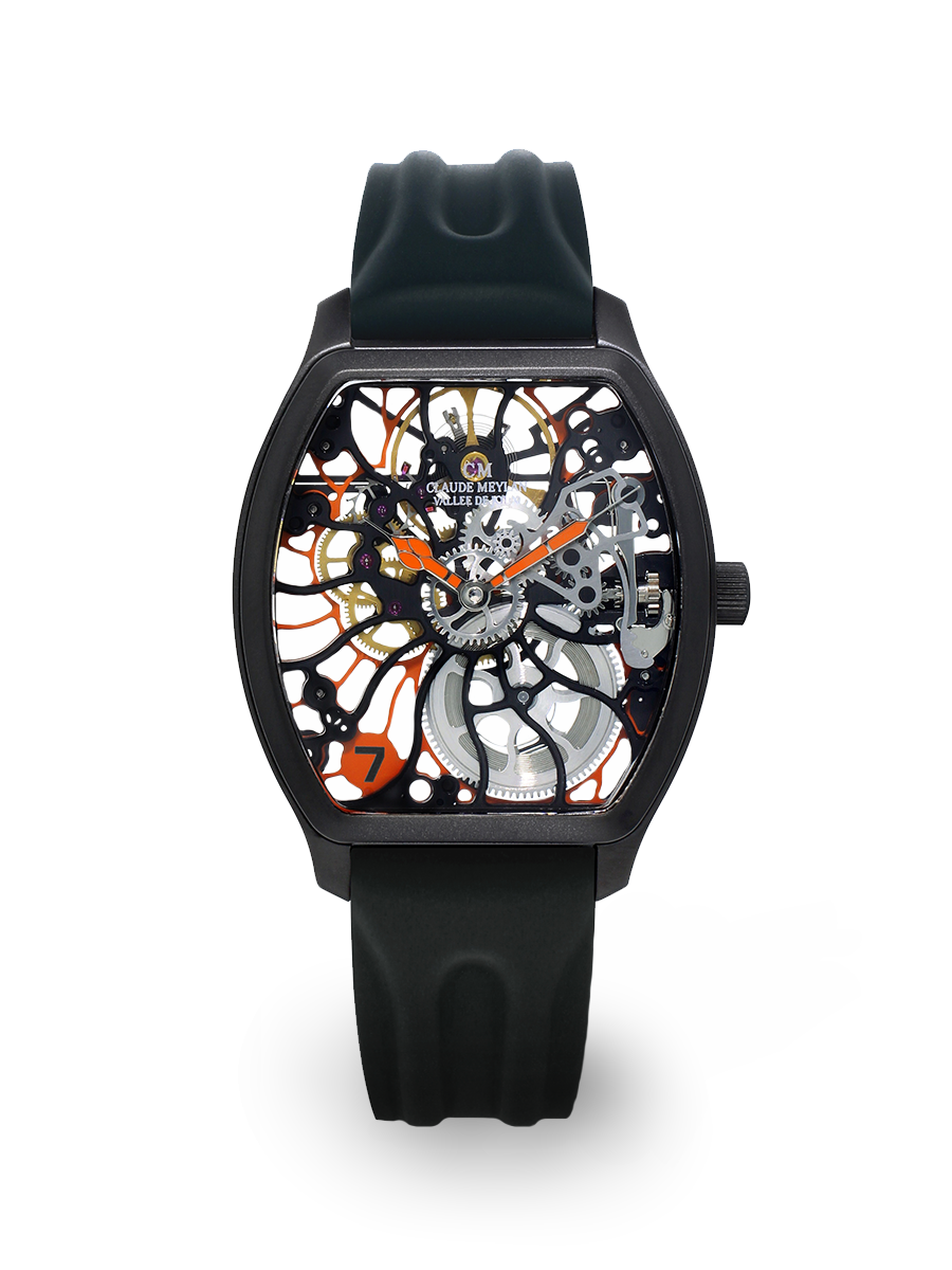 Tortue rainbow 6047-NO