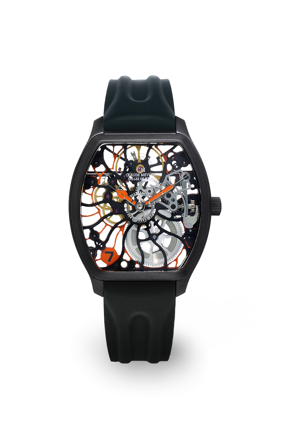 Tortue rainbow 6047-NO