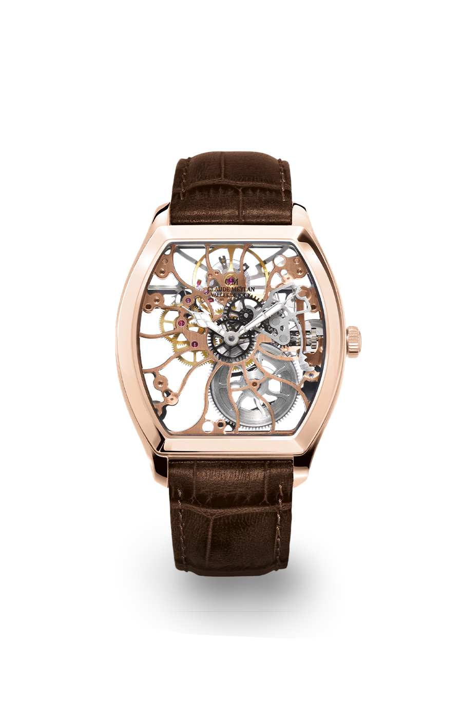 Tortue 6047-P