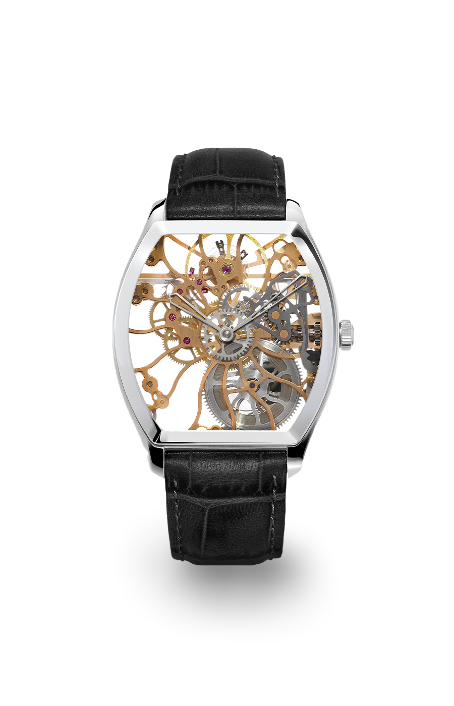 Tortue 6047-R