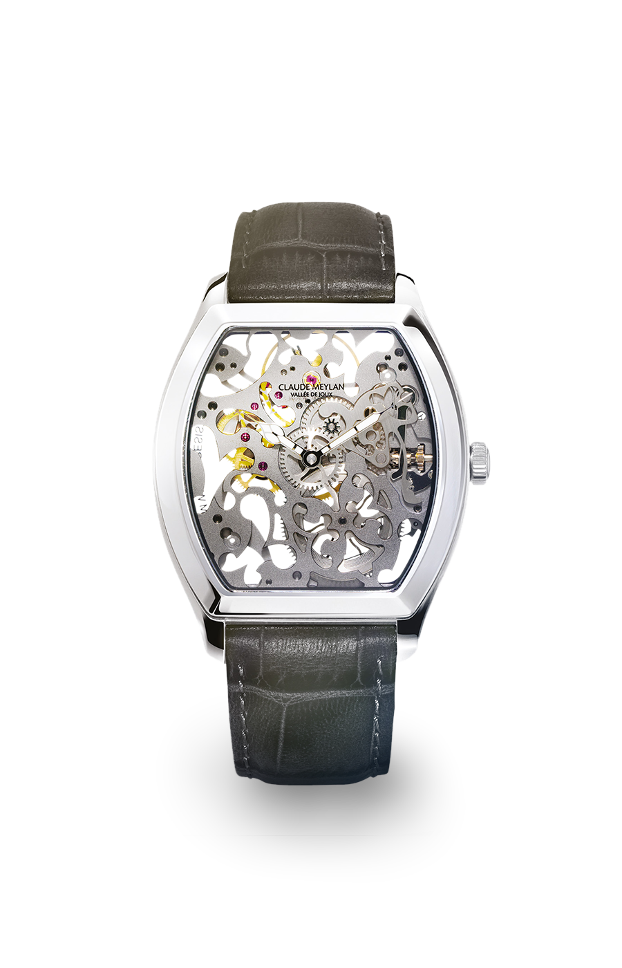 Tortue 6047-swirl