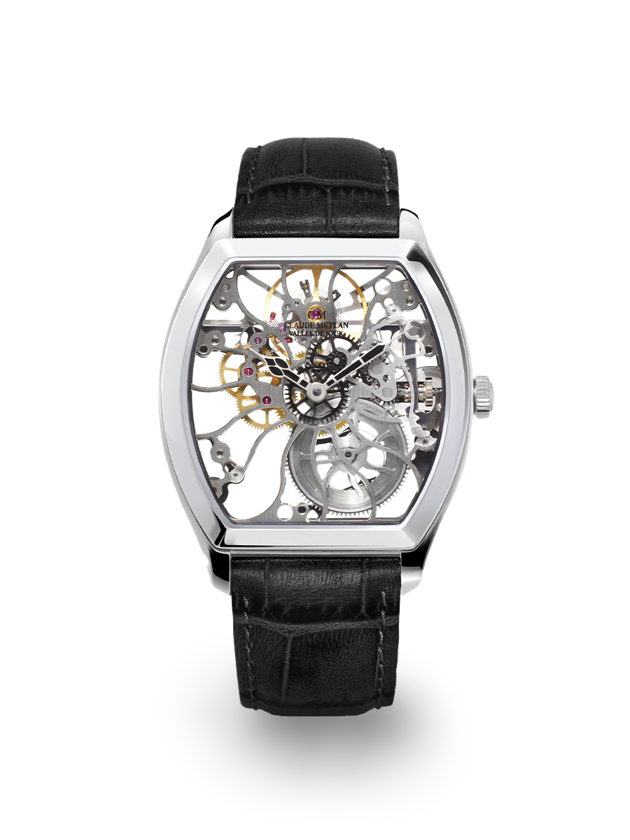 Tortue 6047