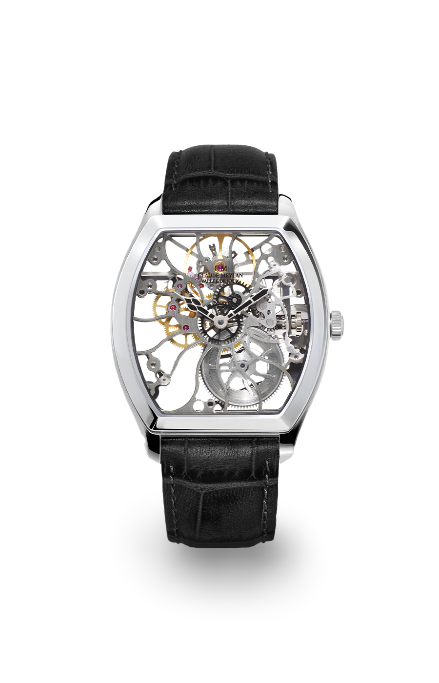 Tortue 6047